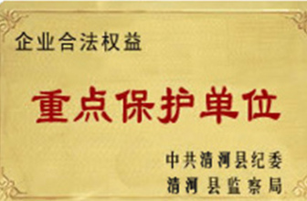 荣誉资质五